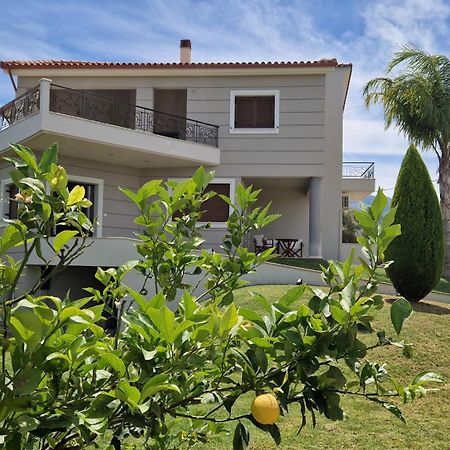 Dimitris Villa Эйон Экстерьер фото